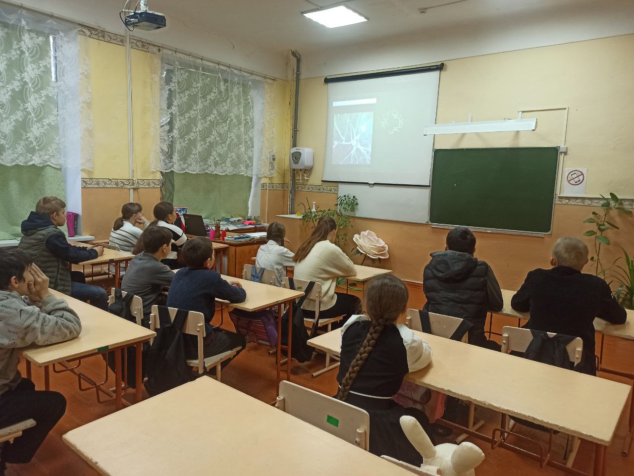 Изображения.