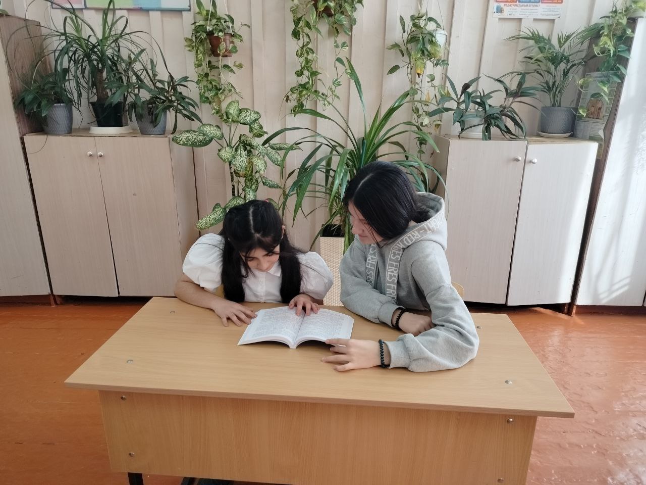 Изображения.